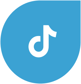 TikTok Icon